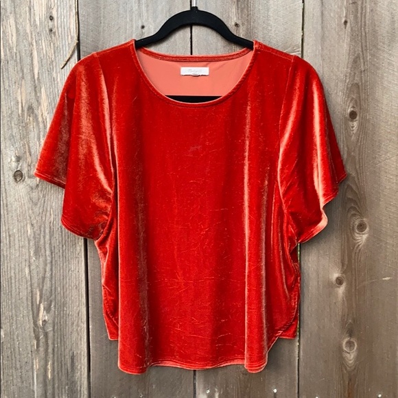 Madewell Tops - Madewell Velvet Butterfly Top